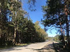 009_iP_220510_IMG_5538