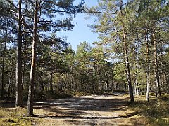 110_p20_IMG_20220510_091052