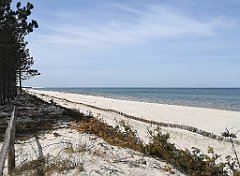 218_p20_IMG_20220510_115655