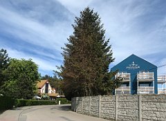 339_iP_220517_IMG_5574