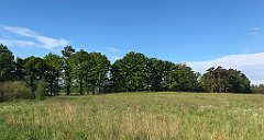 046_iP_220531_IMG_5584