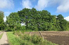 078_iP_220531_IMG_5585