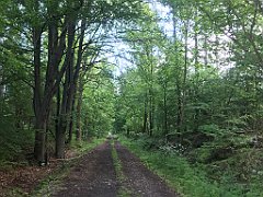 100_iP_220531_IMG_5599