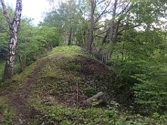 104_iP_220531_IMG_5606