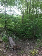 107_iP_220531_IMG_5612