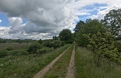 159_iP_220531_IMG_5637