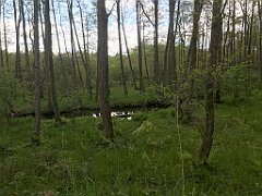 178_iP_220531_IMG_5651