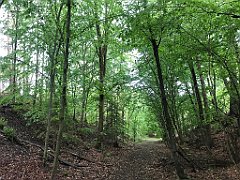 234_iP_220531_IMG_5711