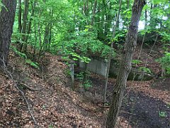 247_iP_220531_IMG_5727