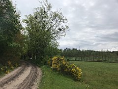 267_iP_220531_IMG_5751