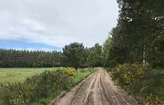 270_iP_220531_IMG_5754