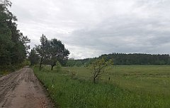 271_p20_IMG_20220531_122607