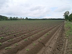 299_p20_IMG_20220531_125740