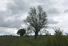 311_iP_220531_IMG_5789