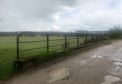 337_iP_220531_IMG_5819