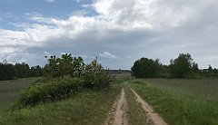 340_iP_220531_IMG_5823