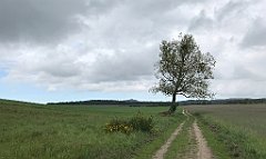 347_iP_220531_IMG_5829