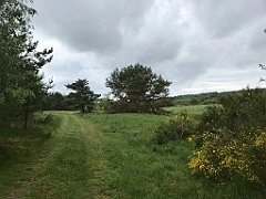 360_iP_220531_IMG_5839