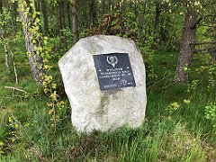 361_iP_220531_IMG_5841