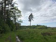 402_iP_220531_IMG_5874