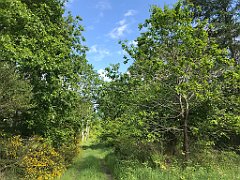 418_iP_220531_IMG_5882