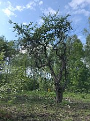 422_iP_220531_IMG_5889