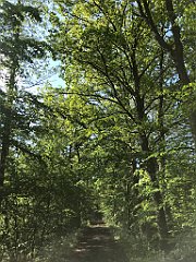 433_iP_220531_IMG_5902