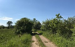 443_iP_220531_IMG_5911