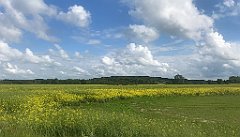 450_iP_220531_IMG_5919