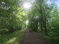 456_iP_220531_IMG_5924