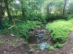 457_iP_220531_IMG_5925