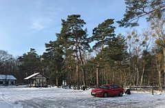 008_0013_iP_230209_IMG_6536