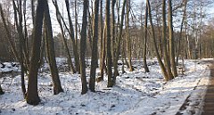 013_0029_3D_P1380376