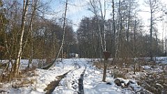 019_0047_3D_P1380382