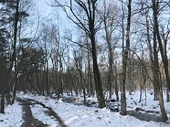 025_0065_iP_230209_IMG_6540