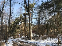 032_0086_iP_230209_IMG_6542