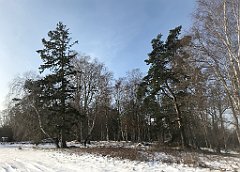 039_0107_iP_230209_IMG_6545