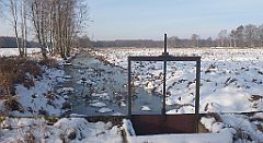 041_0113_3D_P1380399