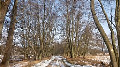 045_0125_3D_P1380403