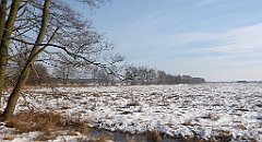 046_0128_3D_P1380404