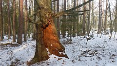 054_0152_3D_P1380412