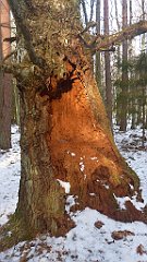 055_0155_3D_P1380413