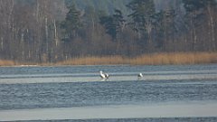 095_0275_FZ72_P1080036