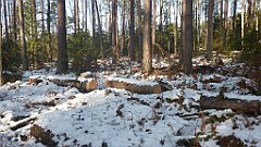 109_0317_3D_P1380439