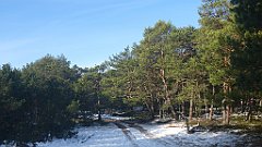 140_0410_3D_P1380457