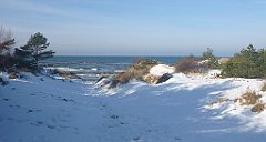 150_0440_3D_P1380461