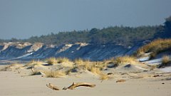 170_0500_FZ72_P1080065