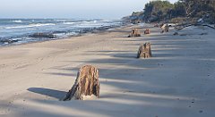 185_0545_3D_P1380482