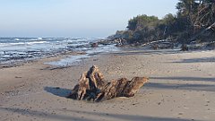 192_0566_3D_P1380488