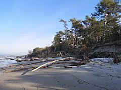 195_0575_p20_IMG_20230209_124546